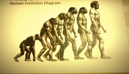 human-evolution1.jpg